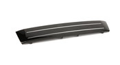 Audi License Plate Bracket - Genuine Audi 8R0807287DT94