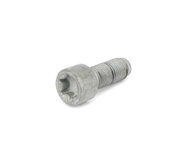 Mercedes Clutch Flywheel Bolt - Genuine Mercedes 0049905912