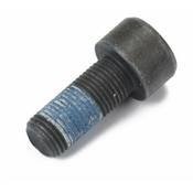 Saab Clutch Flywheel Bolt - Genuine Saab 11588884