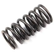 Saab Engine Valve Spring - Genuine Saab 55557218
