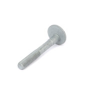 Audi VW Eccentric Control Arm Bolt - OE Supplier WHT001761