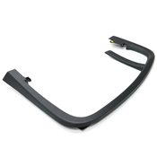 Volvo Door Window Molding - Genuine Volvo 30747557