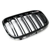 BMW Grille - Genuine BMW 51118098091