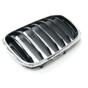BMW Grille - Genuine BMW 51137440853