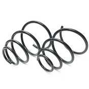 Porsche Coil Spring Set Front (911) - Genuine Porsche 99634353117504