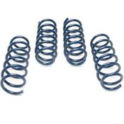 BMW Performance Spring Set - Dinan D100-0933