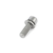 BMW Fillister Head Screw (M8X25U18 8) - Genuine BMW 07119906143