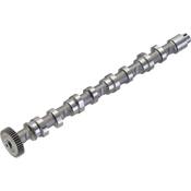 Audi VW Camshaft Assembly - Kolbenschmidt 03L109022D