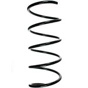 Mercedes-Benz Coil Spring - Mubea 2033214304