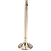 Mercedes-Benz Engine Exhaust Valve - TRW 1110500527