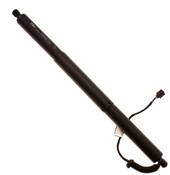 Audi Lift Support - TRW TSG367103