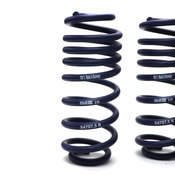 VW Lowering Spring Kit - H&R 54787-55