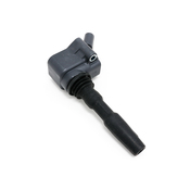 Audi VW Ignition Coil - Beru ZSE126