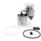 Audi Fuel Pump Kit - Delphi 8K0919051ANKT