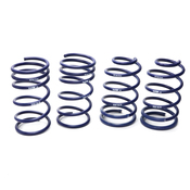 Volvo Lowering Springs - H&R 29361-1
