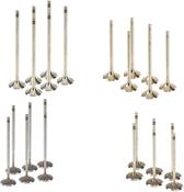 VW Intake And Exhaust Valve Kit - Genuine VW KIT-01388