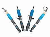 BMW Evolve Damptronic Strut and Shock Absorber Set - Evolve EVO-E9X-DAMP