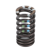 Audi Intake Valve Spring - Genuine Audi 06E109623AC