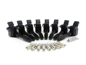 Porsche Ignition Coil Kit - Bremi 20529KT
