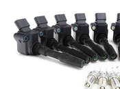 Porsche Ignition Coil Kit - Bremi 20529KT