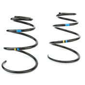 Porsche Coil Spring Set - Genuine Porsche 99734353144504