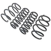 VW Lowering Spring Set - 034Motorsport 0344041032