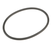 Porsche Fuel Pump Seal - Genuine Porsche 99720173300