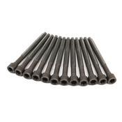 Audi VW Engine Cylinder Head Bolt Set - Elring 06D103385D
