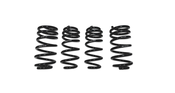 Audi Lowering Spring Kit - 034Motorsport 0344041017