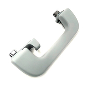 Audi Interior Grab Bar - Genuine Audi 8R0857607JEP5