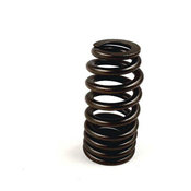 VW Engine Valve Spring - Genuine VW 7B0109623B