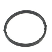 VW Engine Coolant Outlet Gasket - Elring 248.250