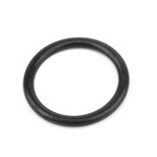 BMW O-Ring (18X22) - Genuine BMW 24278627913
