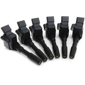 Audi Ignition Coil Kit - APR 06H905110LKT11