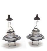 VW Headlight Bulb Kit - Hella KIT-01492