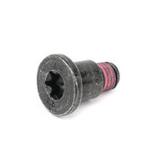 BMW Fillister Head Screw (M10X22) - Genuine BMW 07146960536