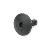 BMW Fillister Head Screw - Genuine BMW 07146959896