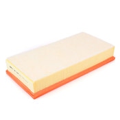 Audi Porsche VW Air Filter - Mann C39002
