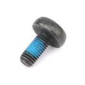 BMW Oval Head Screw (M10 X 22) - Genuine BMW 07149148313