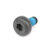 BMW Oval Head Screw (M10 X 22) - Genuine BMW 07149148313