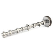 Audi VW Camshaft Assembly - Kolbenschmidt 06H109021K