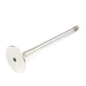 BMW Exhaust Valve - TRW 11341739823