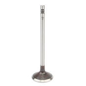 Volvo Intake Valve - AE 9454607