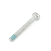 Audi VW Torx Bolt - Rein HWB0080