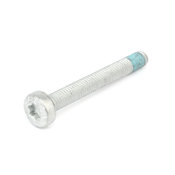 Audi VW Torx Bolt - Rein HWB0080