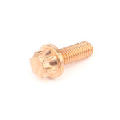 Mercedes EGR Tube Bolt - OE Supplier 0009906903