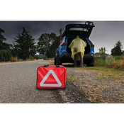 22 pc. Essential Roadside Assistance Kit - Performance Tool W7911