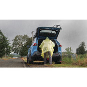 22 pc. Essential Roadside Assistance Kit - Performance Tool W7911