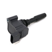 VW Direct Ignition Coil - Eldor 05E905110B