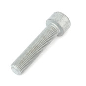 Audi VW Drive Shaft Bolt - Genuine VW Audi N10759901
